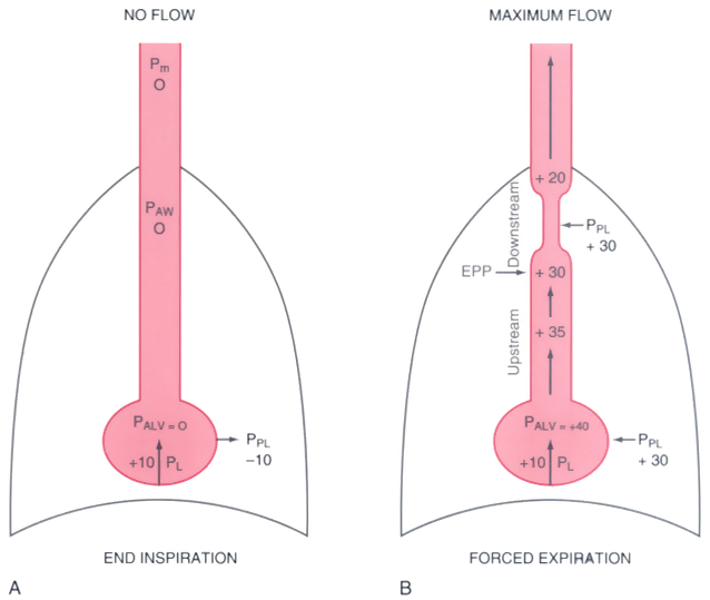 book The Practical Zone System: For Film and Digital